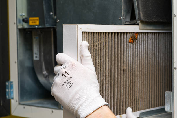 Best Air Duct Cleaning Company Near Me  in La Feria, TX