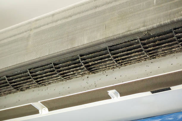 Best Residential Air Duct Cleaning  in La Feria, TX