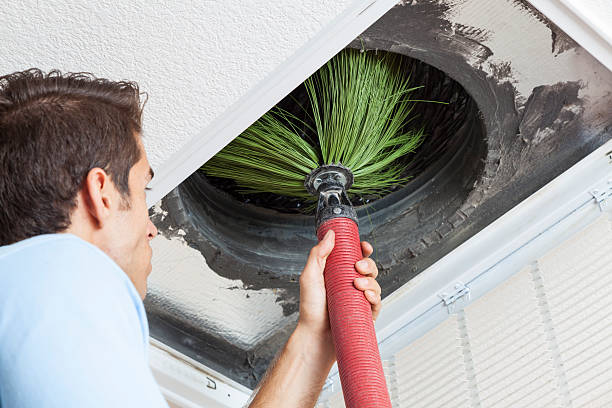 Best Air Duct Cleaning Near Me  in La Feria, TX