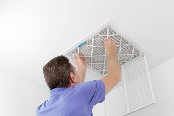 Best Affordable HVAC Duct Cleaning  in La Feria, TX